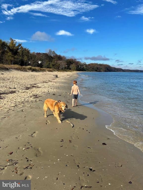 Building Photo - 1570 Overlook Dr