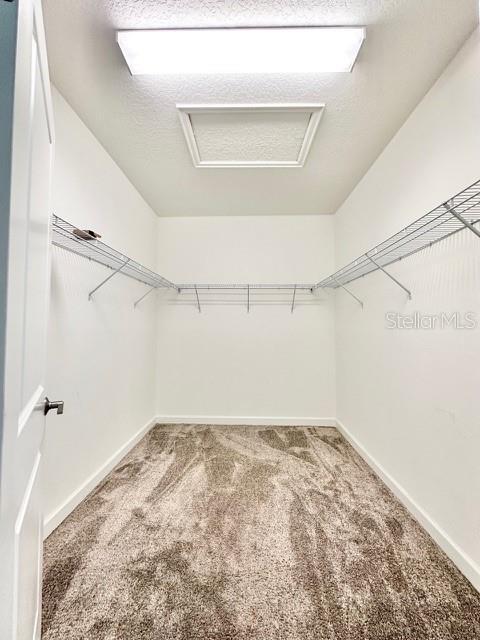 Building Photo - 2921 Title St