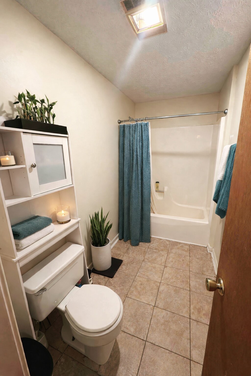 Building Photo - 205 Dogwood Dr