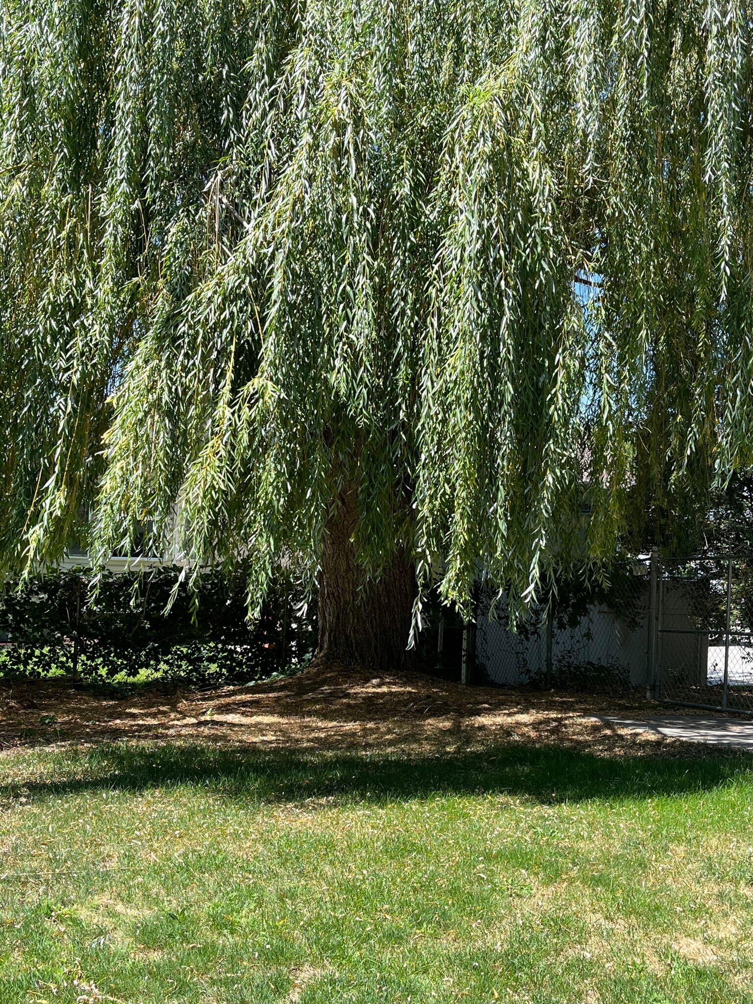 Building Photo - 640 E 300 N