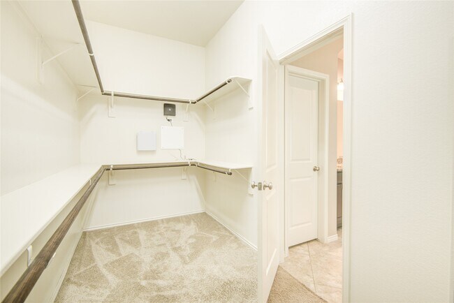 Building Photo - 29006 Crystal Rose Ln
