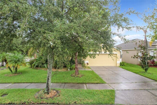 Building Photo - 4729 Spindletree Ln
