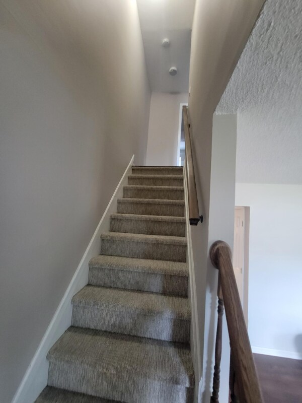 Building Photo - 10 Adriana Ct