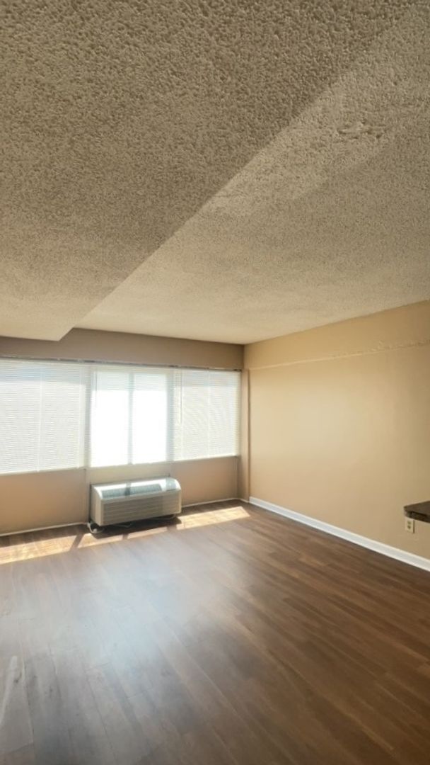 Building Photo - Newly Renovated Studio available NOW