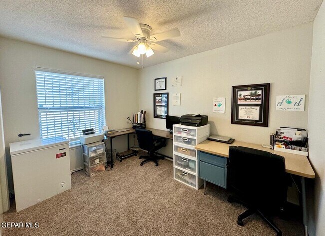 Building Photo - 10041 Paloma Dr