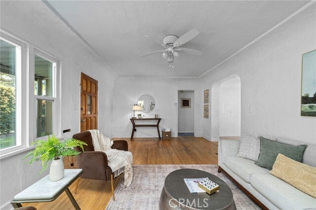 Building Photo - 1119 Princeton Dr