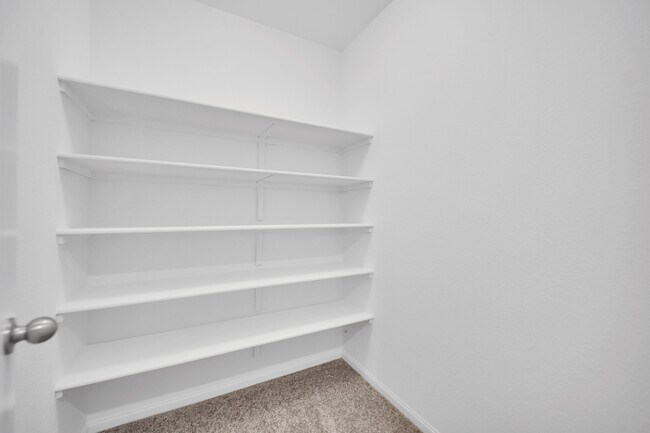 Building Photo - 6050 Swift Lariat St