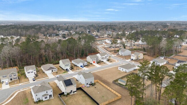 Building Photo - 103 Cardinal Flower Ct