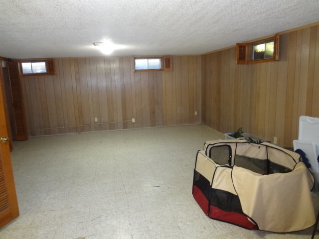 Finished Basement - 1517 Cambria Dr