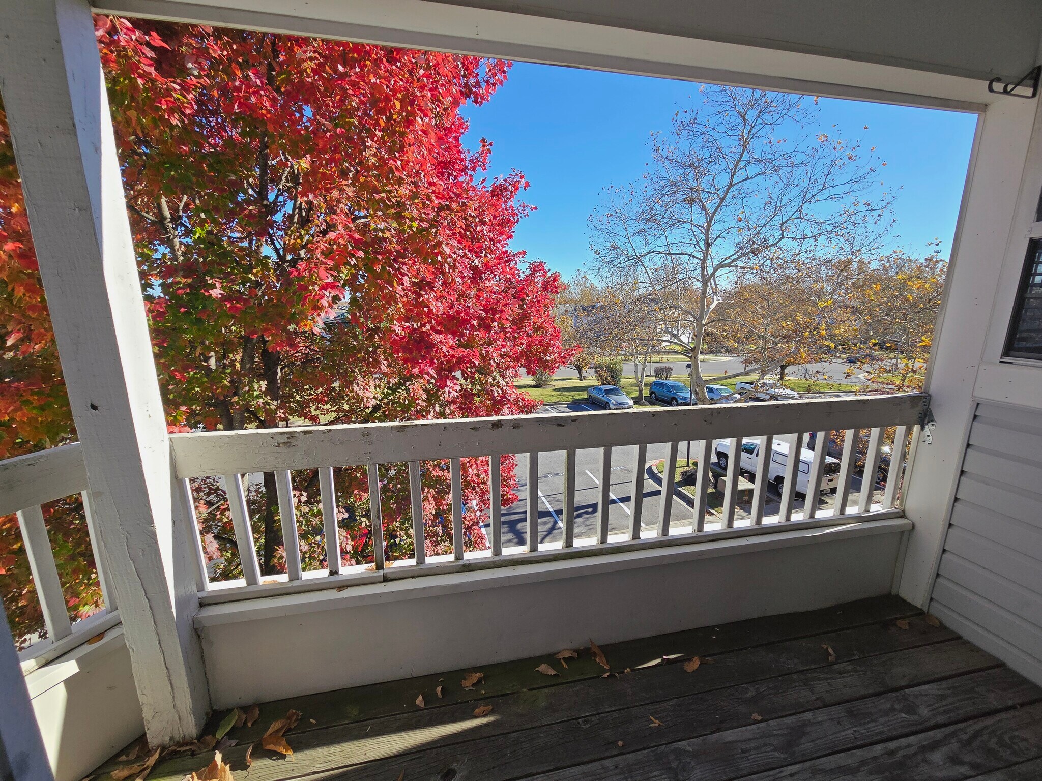 Building Photo - 8388 Montgomery Run Rd