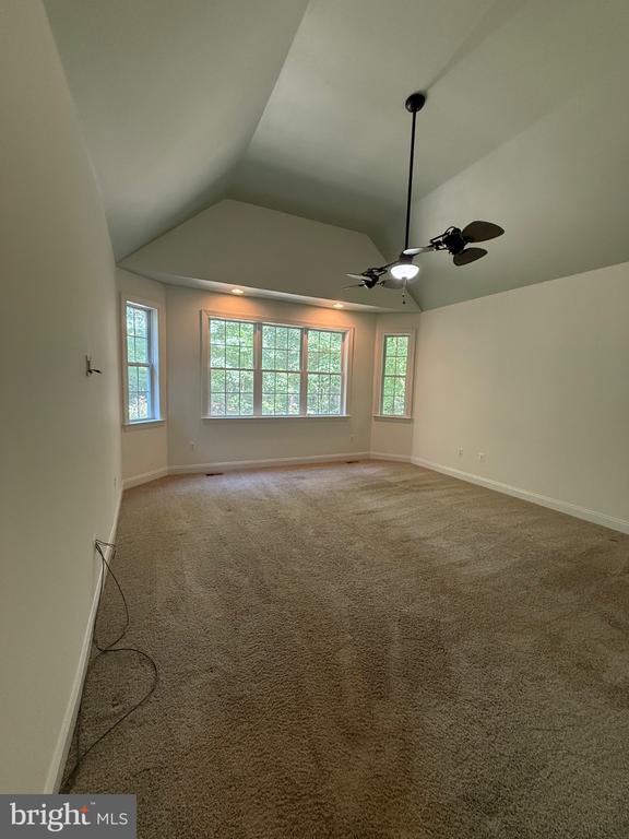 Building Photo - 11621 Pine Hollow Ln