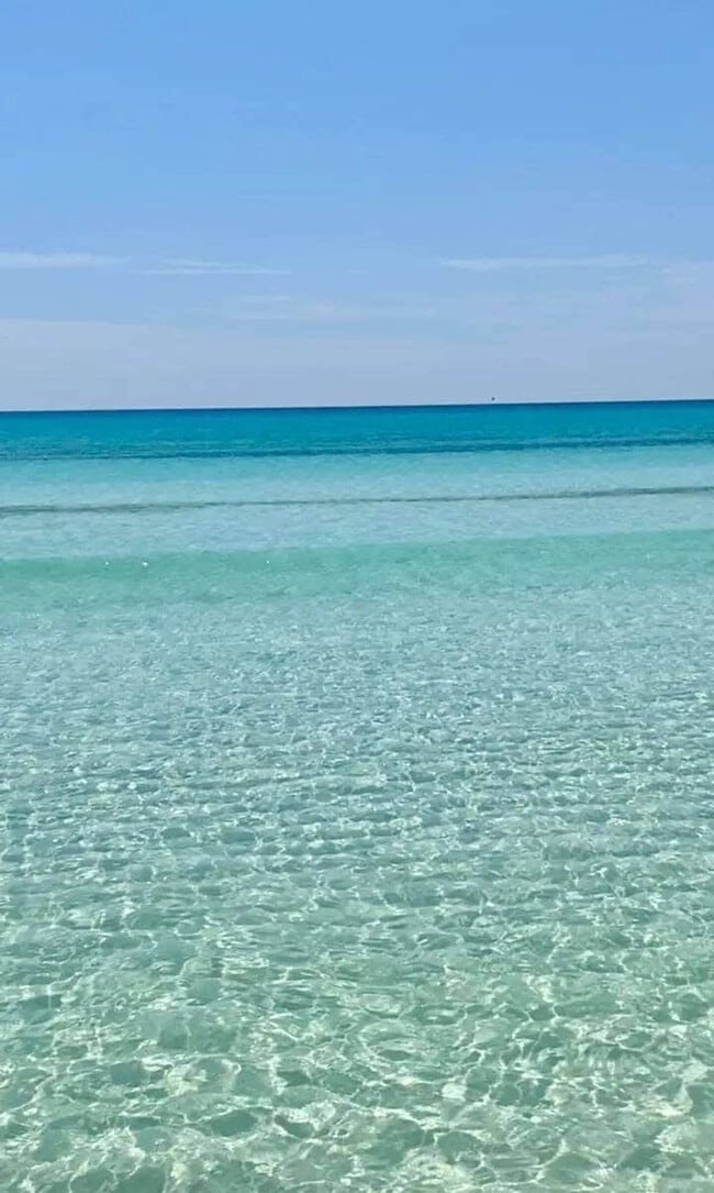 Building Photo - 79 Redfish Cir