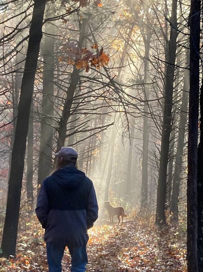 Building Photo - 20200 S Jemerson Creek Rd