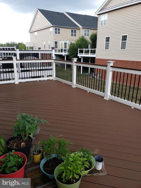 Building Photo - 23409 Berkeley Meadows Dr