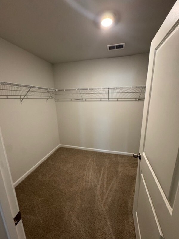 Building Photo - 204 Wild Strawberry Ln