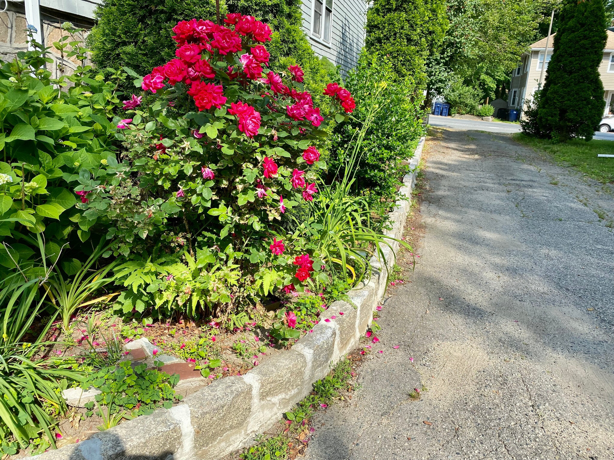 Building Photo - 1446 Centre St