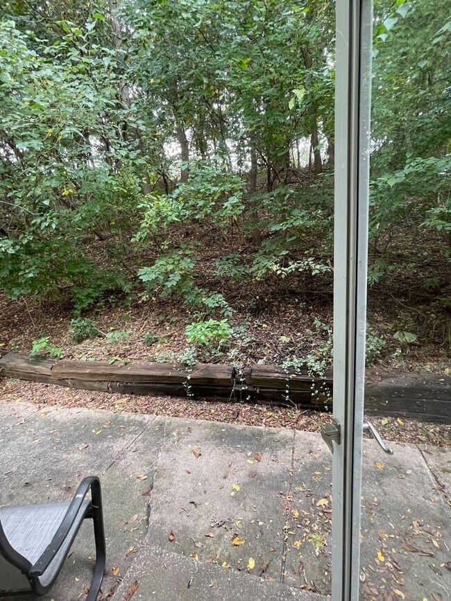 Quiet wooded lot out back - 811 17th St