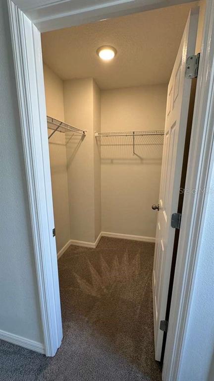 Building Photo - 1298 Wispy Cypress Dr