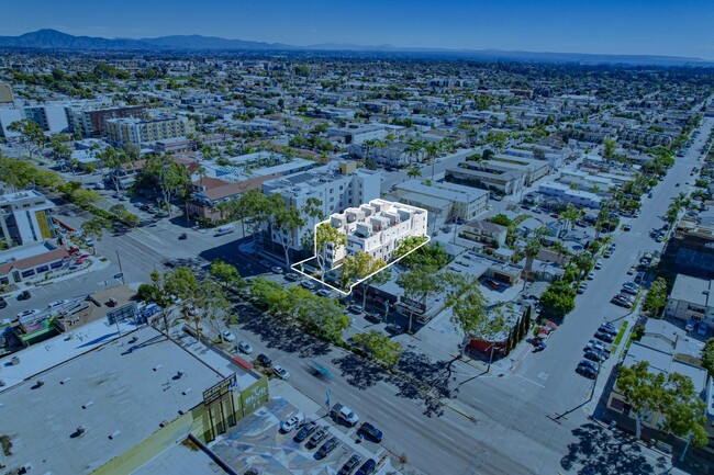 Interior Photo - The Evelyn Townhomes: Luxe Living in the H...