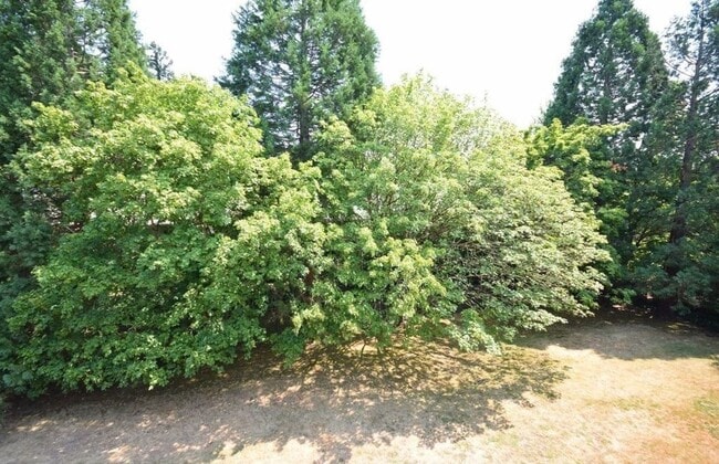 Building Photo - Updated 2 Bed Condo in Prime Location!