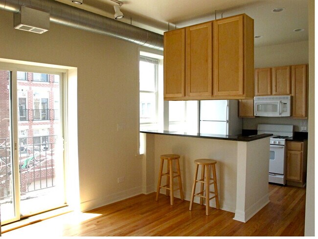 Kitchen, Living Room, Balcony - Apt 3M, 2M - Harris Point Chicago