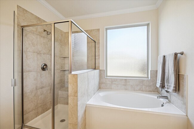 Building Photo - 2933 Fox Ledge Ct