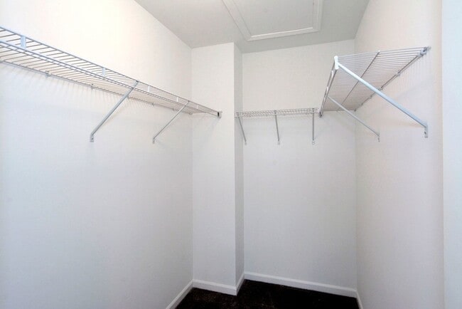 Building Photo - 202 Timberleaf Cir