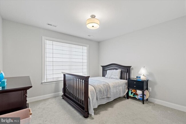 Building Photo - 2061 St Pauls Ct