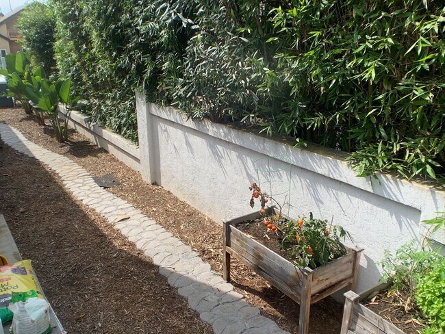 Building Photo - **Live the Ocean Beach Dream