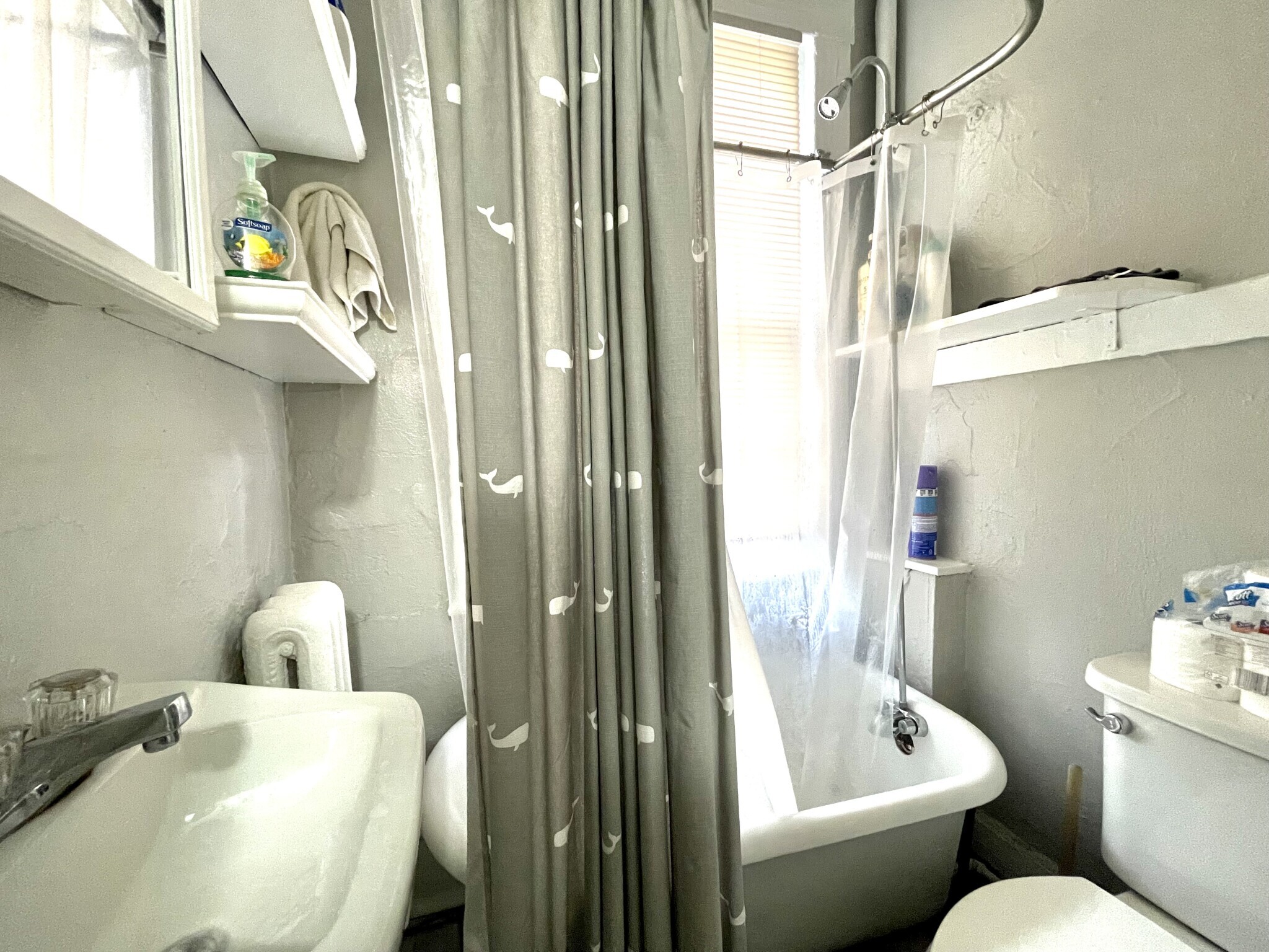 Building Photo - 8 Champney Pl
