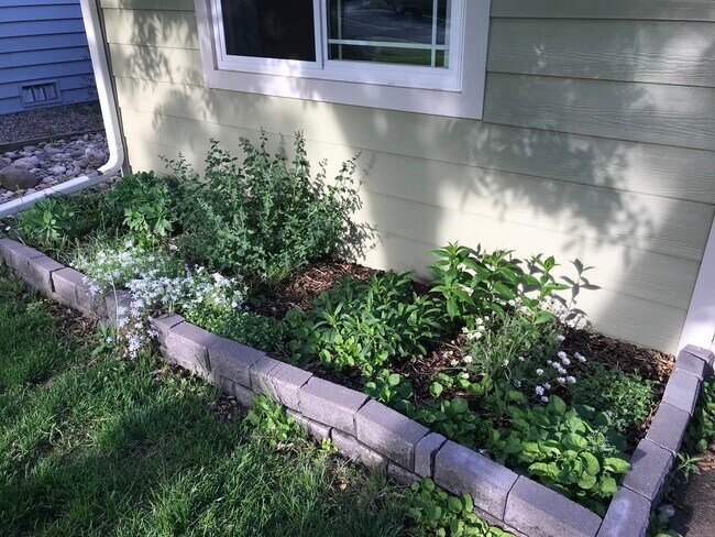 Building Photo - 5110 Clay St