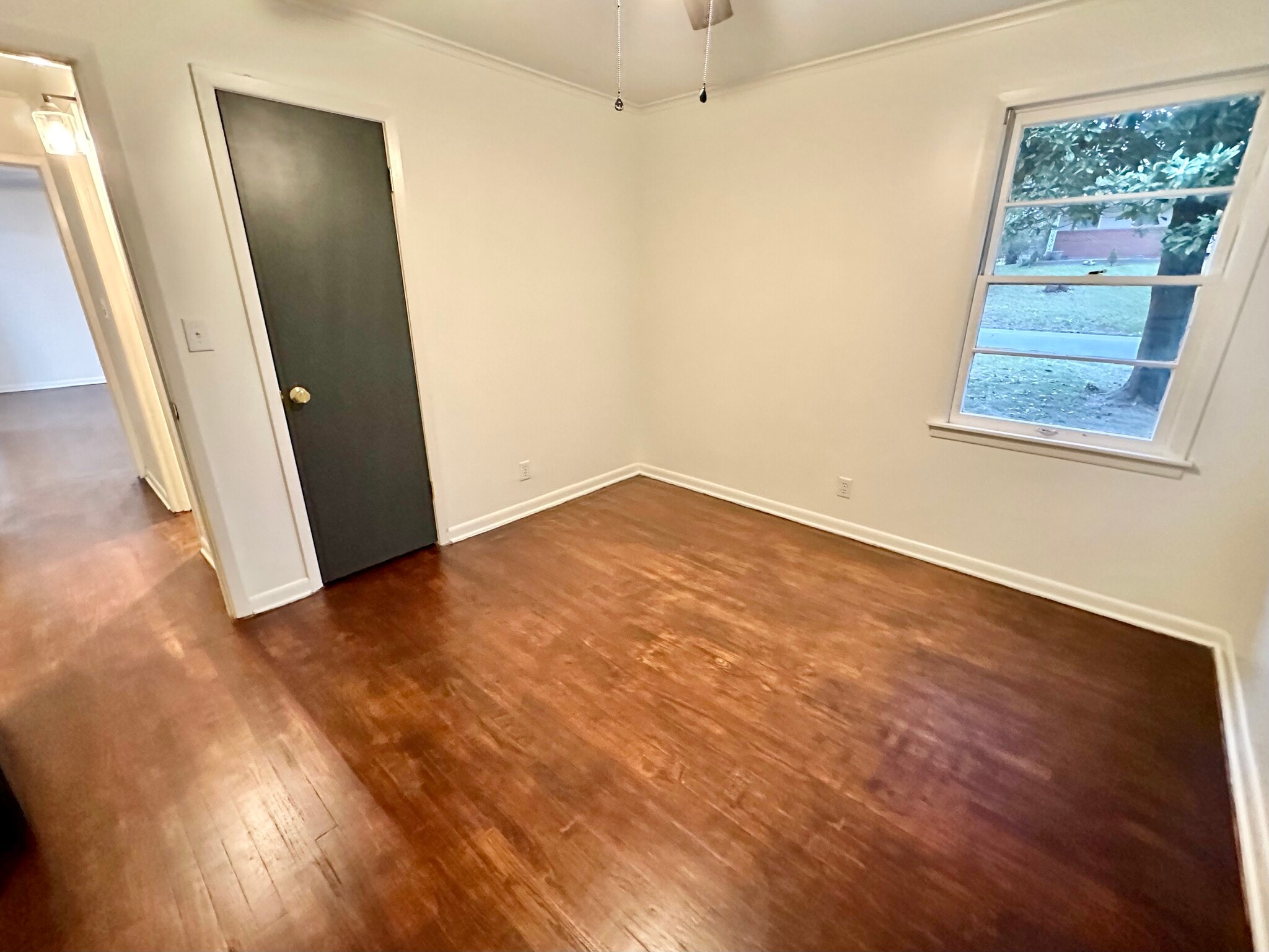 Front Bed 1 - 913 Lynden Blvd