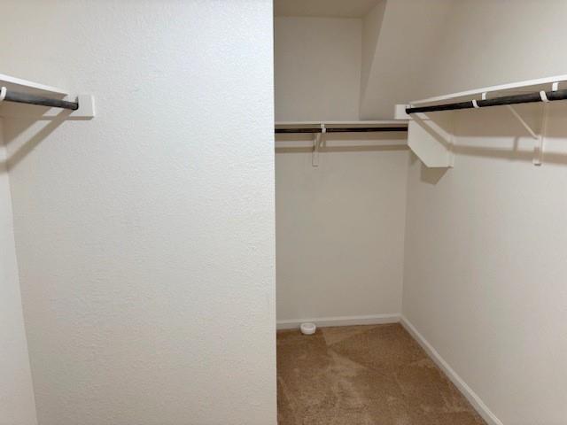 Building Photo - 229 Concho River Dr