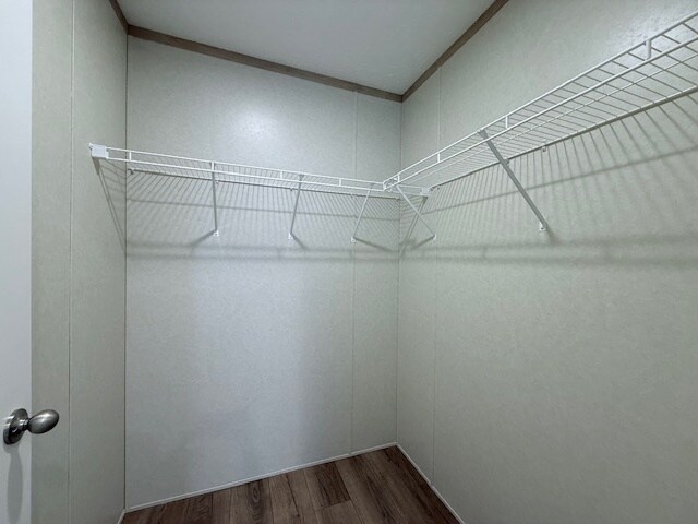 Building Photo - 29778 W Essex Ct