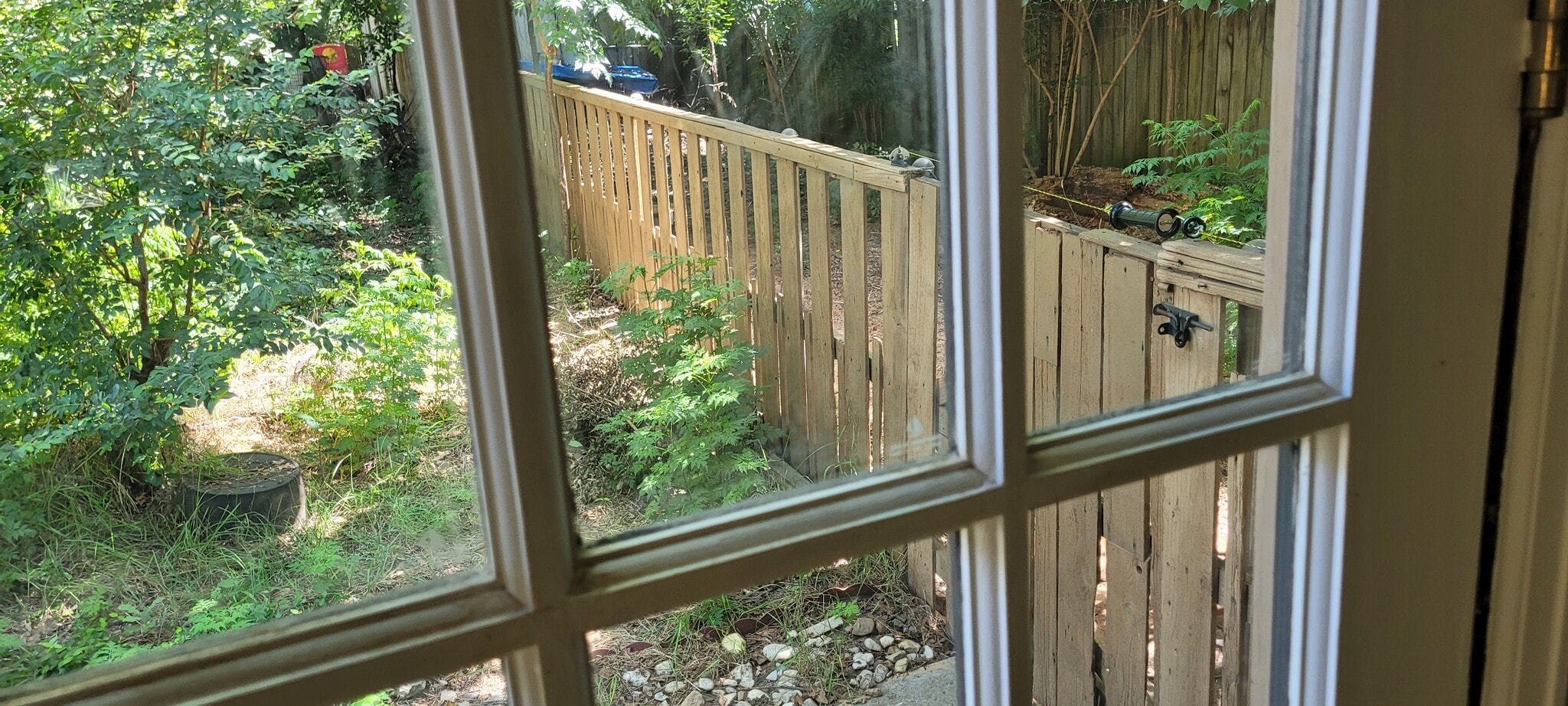 out back window at dog run - 125 Woodland Dr