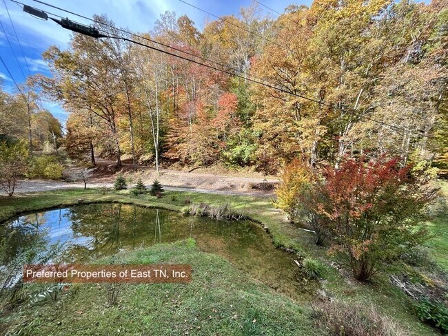Building Photo - 709 Brown Mountain Rd