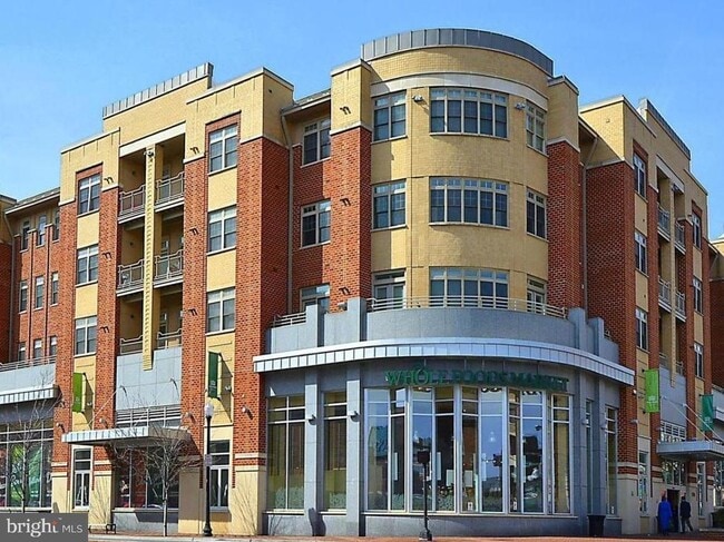 Building Photo - 309 Holland Ln