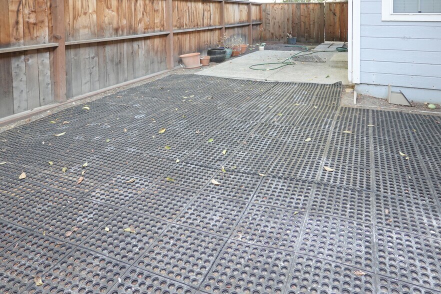 Backyard - 1013 Woodside Rd