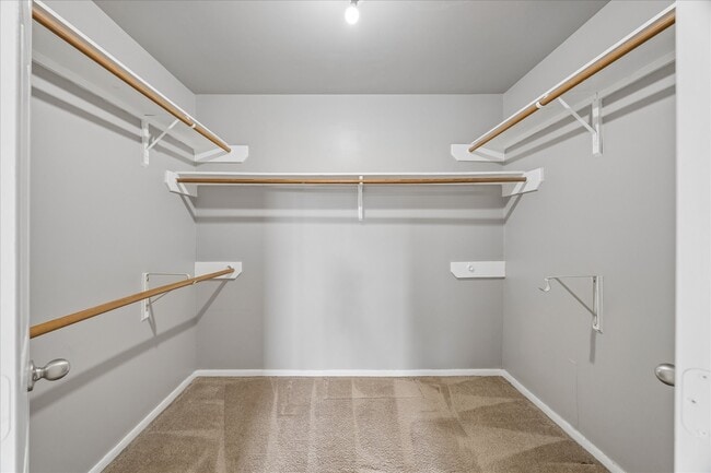 Building Photo - 12526 Mill Hedge Dr