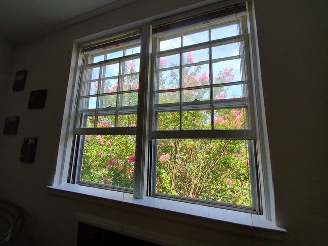 Crepe myrtles in bloom! - 1306 Glade Street