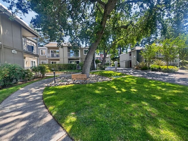 Building Photo - Gorgeous and Completely Remodeled Lower Level Unit with Inside Laundry is Available Now!
