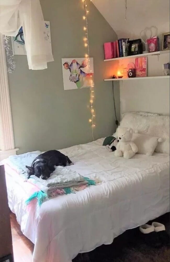 Building Photo - 4 Bedroom House Minutes to WWU!!