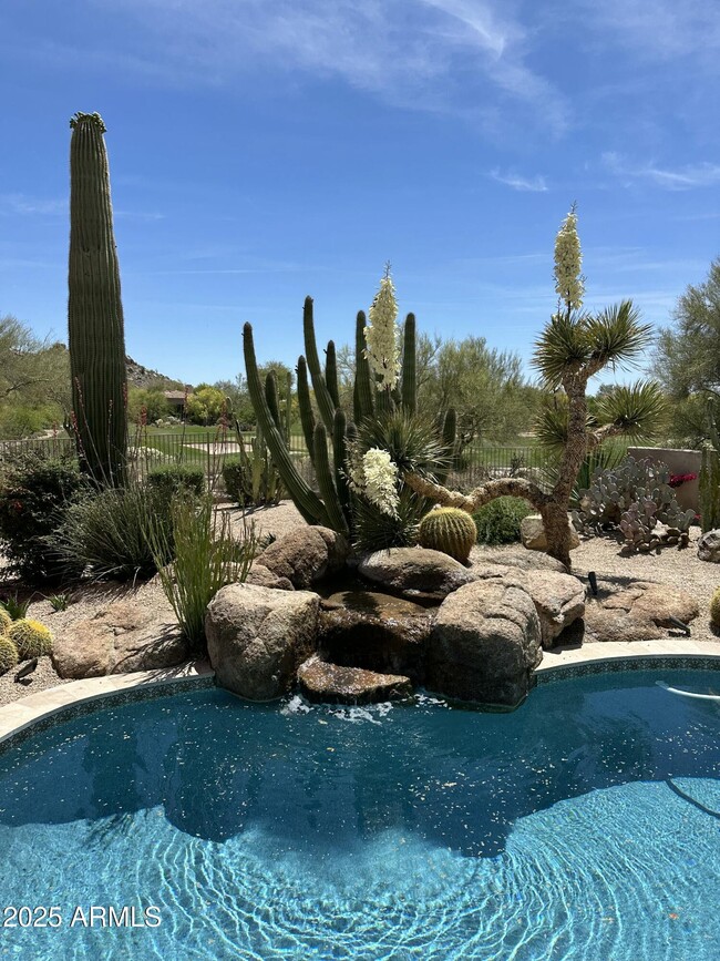 Building Photo - 7485 E Tumbleweed Dr