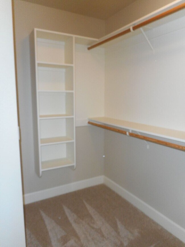Building Photo - 1555 Dolores Wy