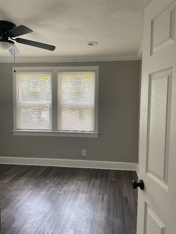 Building Photo - 2007 Allison St