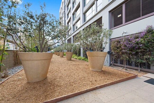 Building Photo - 2 Bed/2 Bath Luxury Condo at The Bond