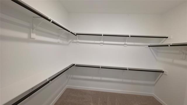 Building Photo - 1218 Watercrest St