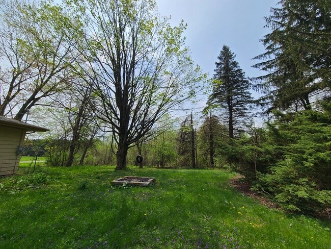 Building Photo - 2 Bedroom 1 Bath Home In Coloma