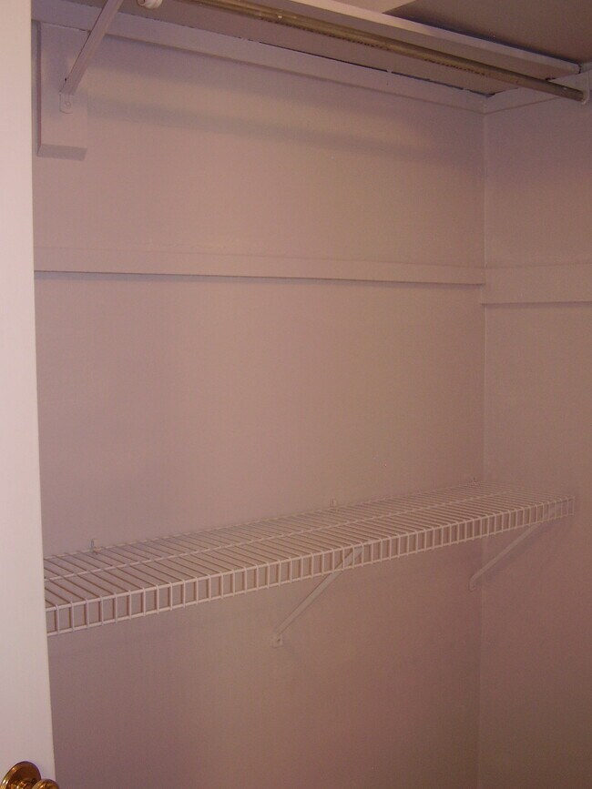 Walk-In Closet - 1120 Chatham Park Dr