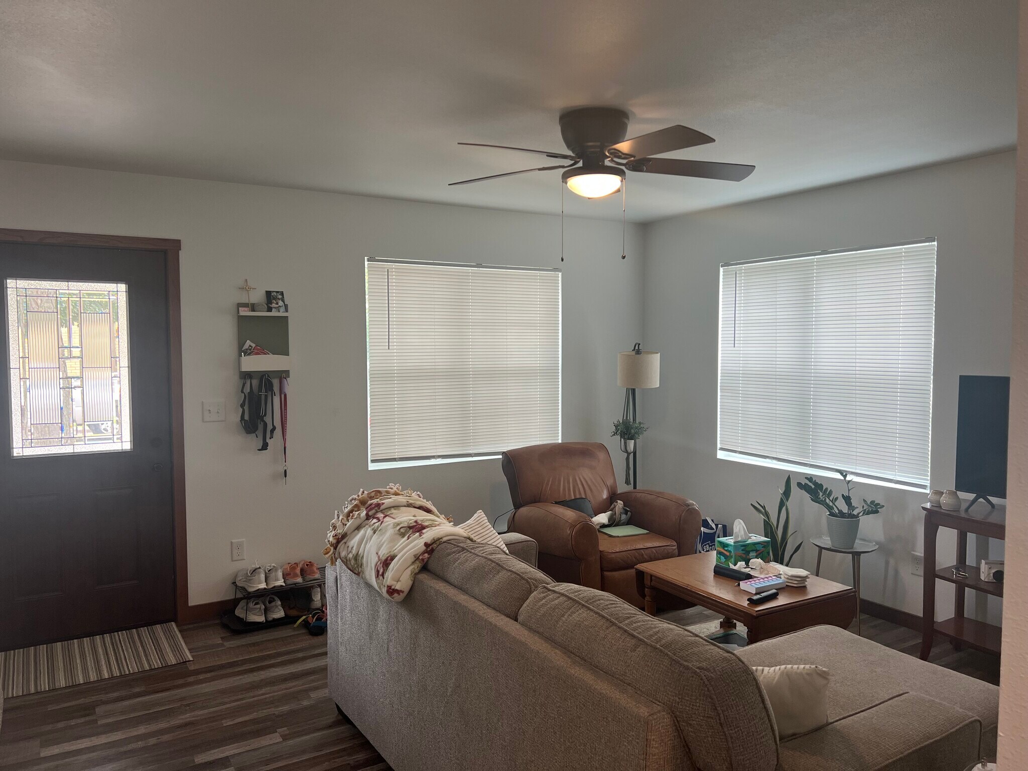 Entry/Living Room - 619 Wall St